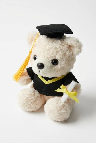 Abschlussbär hellbeige, 24 cm Plüsch im Talar mit Doktorhut – Geschenk zur Sponsion