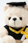 abschlussbär mit filz-diplom in der pfote, geschenk zum studienabschluss